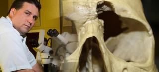 Ventura Pérez at microscope researching skeletal remains.